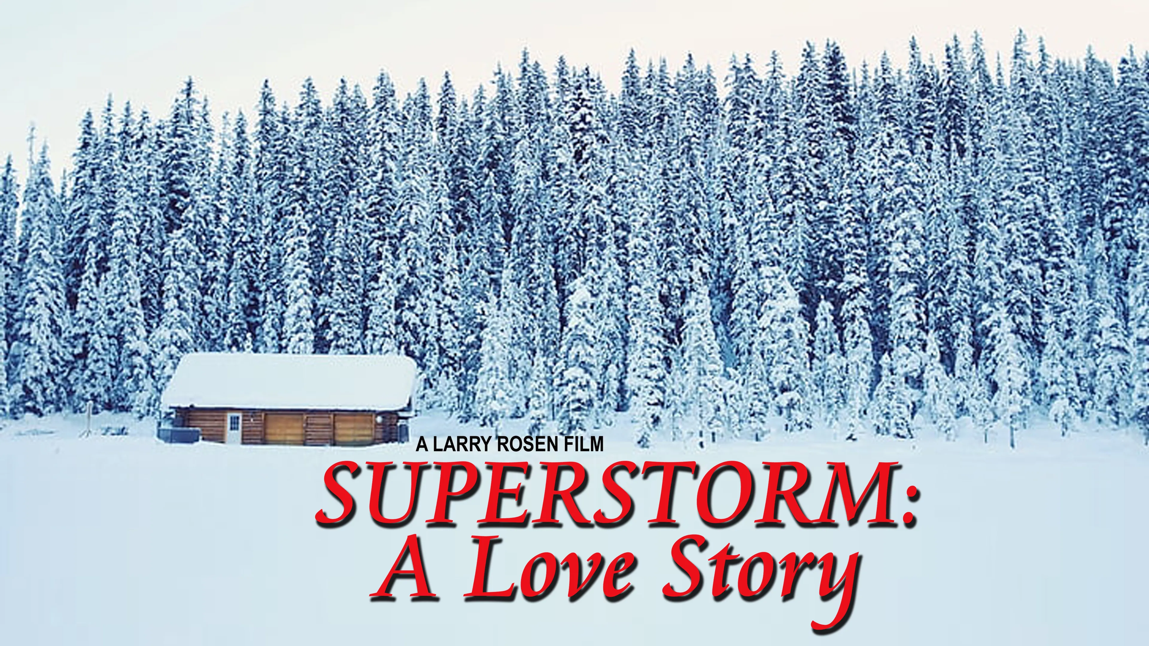 Superstorm: A Love Story poster